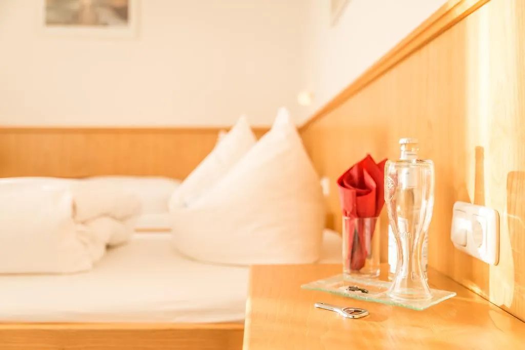 Hotel Drei Loewen Dachau